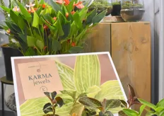 De Karma Jewels van Karma Plants